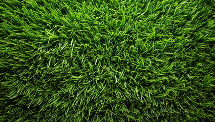close up grass structure texture pattern wallpaper