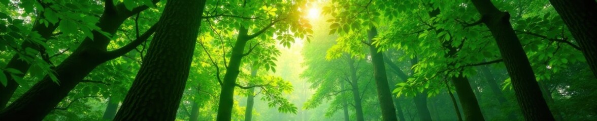 Obraz premium lush green forest canopy with sunlight filtering through leaves , greenspace, exposure, light