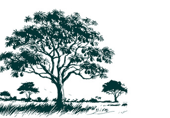 Salvadora persica plant hand drawn sketch vector