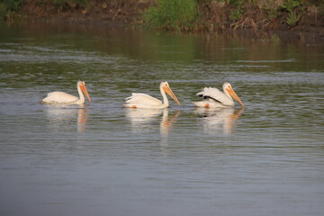 The Qu'Appelle River area scenery