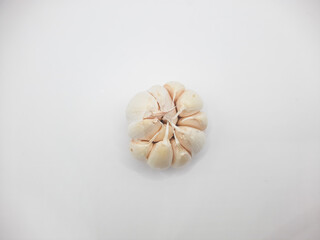 One head of garlic on a white background 