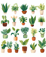 Rows of illustrated potted plants on a white background