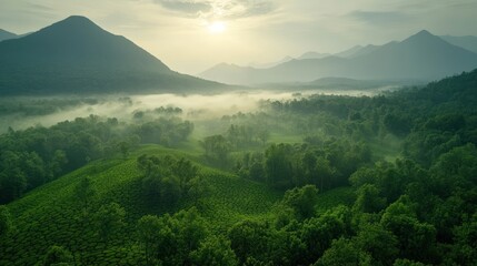 Fototapeta premium Sunrise over misty mountain valley, green hills, aerial view