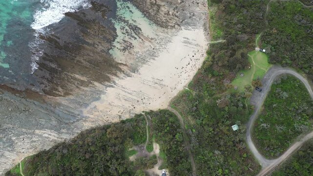 Blanket Bay Beach and Trees from Above Campground Cape Otway VIC Australia 