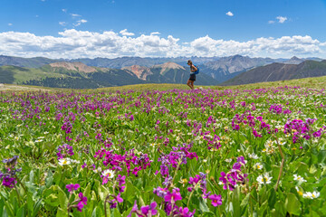 A woman hiking in wildflowers in Colorado high country