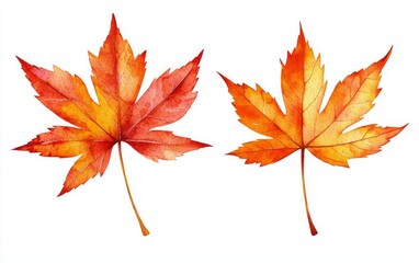 Fototapeta premium Vibrant Watercolor Leaves in Autumn Colors for Inspirational Art and Design Projects