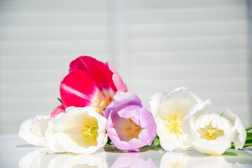 A vibrant arrangement of tulips in various colors, showcasing red, white, and purple blooms placed elegantly on a reflective surface