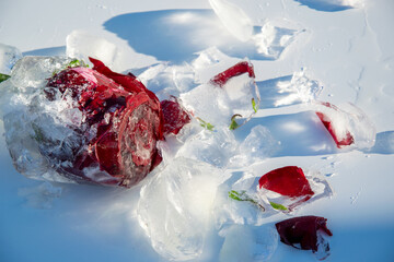 A vibrant red rose is partially covered in clear ice, with shards scattered on a soft, white snowy...