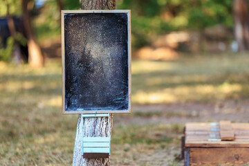 Empty blackboard on tree in park with weathered surface and natural background