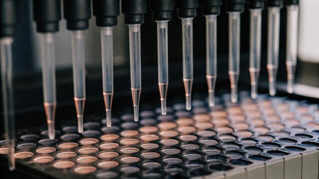 A closeup of an automated pipetting system with precision tips poised above a multiwell plate ready to dispense various colored liquids into the wells for an experiment.