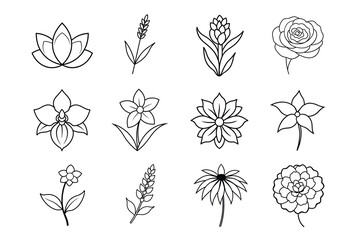  Flower line art vector illustration 2