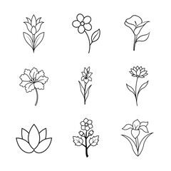  Flower line art vector illustration