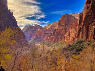 Fototapeta premium A Fall Day in the Canyon in Zion National Park Utah.