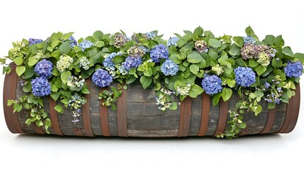Planted Wooden Barrel with Hydrangeas