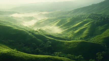 Naklejka premium Scenic view of a lush green valley with rolling hills in sri lanka captured in realistic photography
