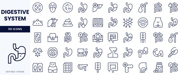 A collection of line icons representing the digestive system, showcasing various organs and processes in a minimalist design.