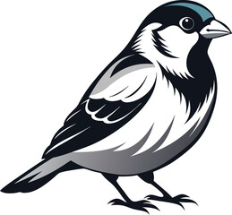 house-sparrow-black-and-white.