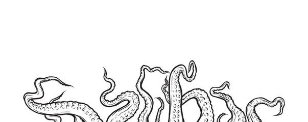 Tentacles of octopus, vector hand drawn collection of illustrations. Black and white engraving style drawings. Tentacle straight and with rings in different angles.