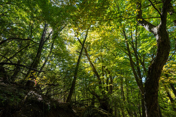 Mt. Mizugaki, Takamiiwa and surrounding views
