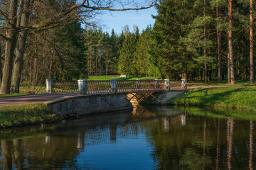 View of the bridge on the Swan Ponds in the Catherine Park of Tsarskoye Selo on a sunny spring day,...