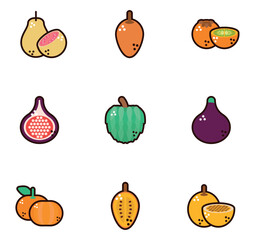set of fruit vector icons with white background