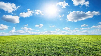 Obraz premium Sunny day, green field, blue sky, fluffy clouds, idyllic landscape, nature background, perfect for travel brochures