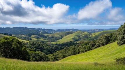 Obraz premium Rolling green hills, sunny valley vista, cloudscape background, nature tourism