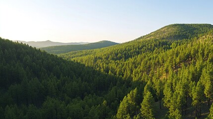 Obraz premium Aerial view of sunlit mountain forest valley at sunset, for travel/nature posters