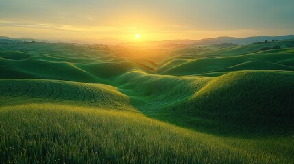 Obraz premium Rolling Green Hills Sunset Landscape Sunrise Scenery