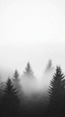 Fototapeta premium Misty mountain forest landscape with fog enveloping towering trees