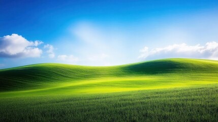 Obraz premium Sunny rolling green hills landscape, vibrant nature background, idyllic pastoral scene