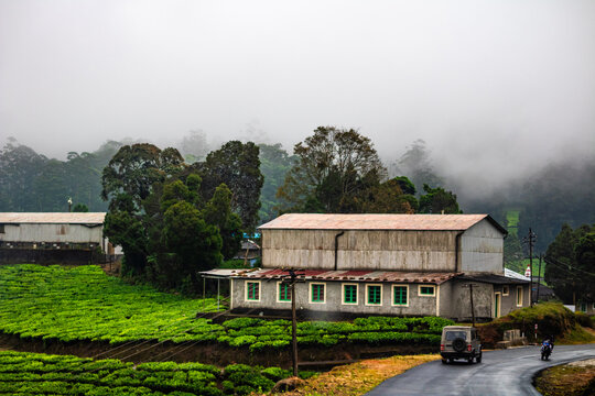 A beautiful landscape with Old farm house. Picture clicked at Magamalai, mountain range located in the Western Ghats in the Theni district near Kumily, Tamil Nadu.