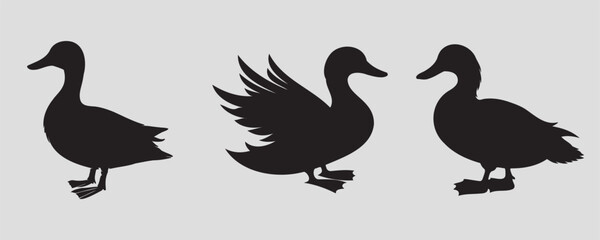 A set of three duck silhouettes in different stances, featuring clean and minimalistic designs. Perfect for wildlife, nature, or decorative projects