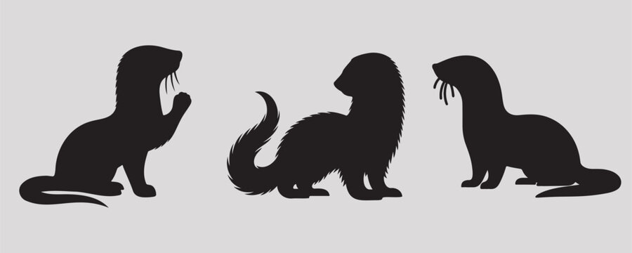 A set of three ferret silhouettes in various poses, featuring sleek, minimalist designs. Perfect for pet, wildlife, or decorative design projects