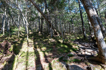 Obraz premium Mt. Mizugaki, Takamiiwa and surrounding views