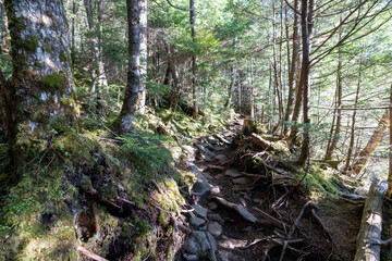 Mt. Mizugaki, Takamiiwa and surrounding views