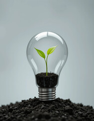 Light Bulb with a Green Sprout Emerging Inside