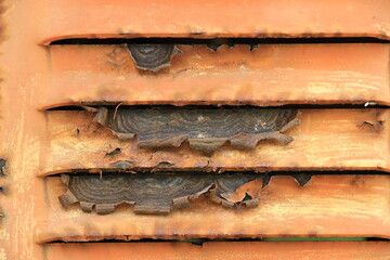 Damaged and rusty iron surfaces or walls.
