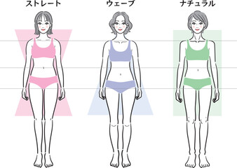 骨格診断　3タイプ