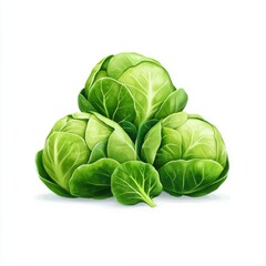 Obraz premium Fresh and Vibrant Green Cabbage Heads with Varied Leaf Patterns on a Bright White Background