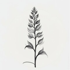Fototapeta premium Detailed Black & White Botanical Illustration of a Plant Stem on a Starker Than White Background. A black and white drawing of a plant with leaves.