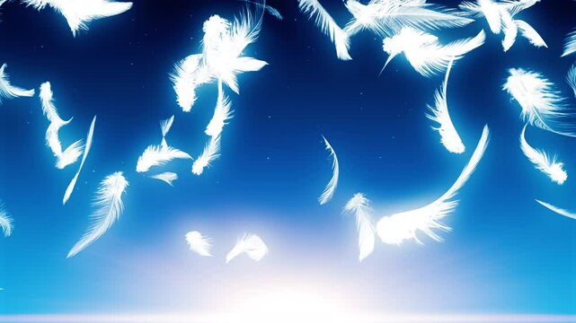 舞い落ちる羽根 星空の背景