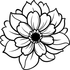 vector illustration of a lotus flower