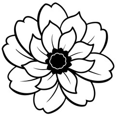 black and white flower