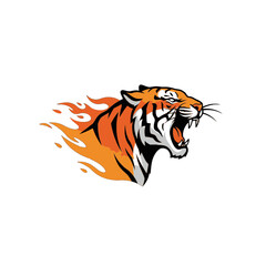 Powerful Roaring Tiger Illustration With Flaming Effect on White Background