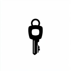 A key. Cybersecurity concept.