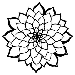 black and white flower