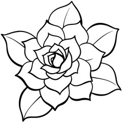 vector rose flower