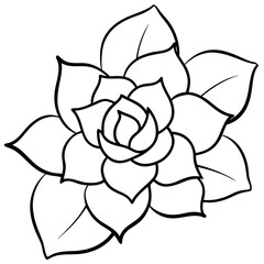 vector illustration of a flower