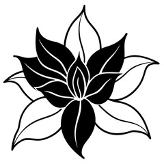 black and white flower